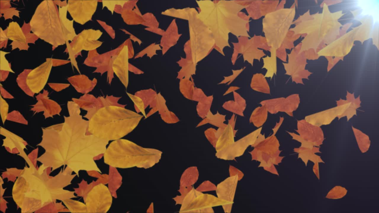 hojas de otoño que caen