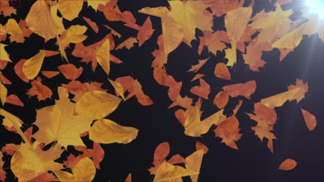hojas de otoño que caen