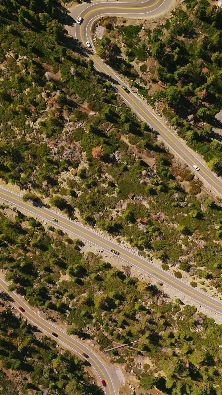 Summer forest road landscapes. Mountain road crosiing the wood. Vertical video