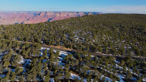 endless forest trees at the road near grand canyon national park in arizona, united states