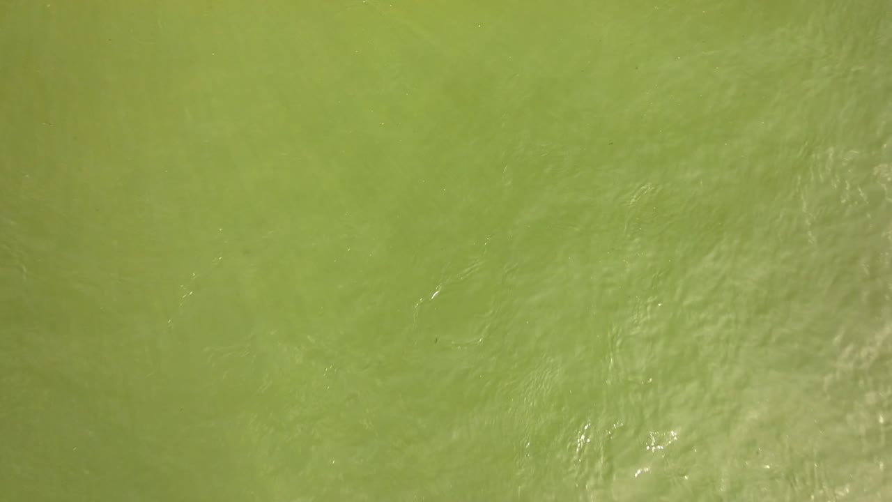 paisaje de verano en el río blanco en arkansas