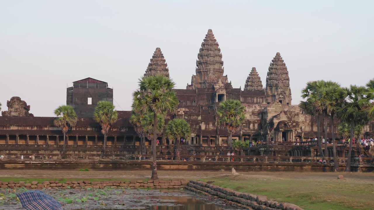 Revealing The Main Temple Of Angkor Wat Behind A Palm Trunk By Trucking To The Right. 4K Slow Motion