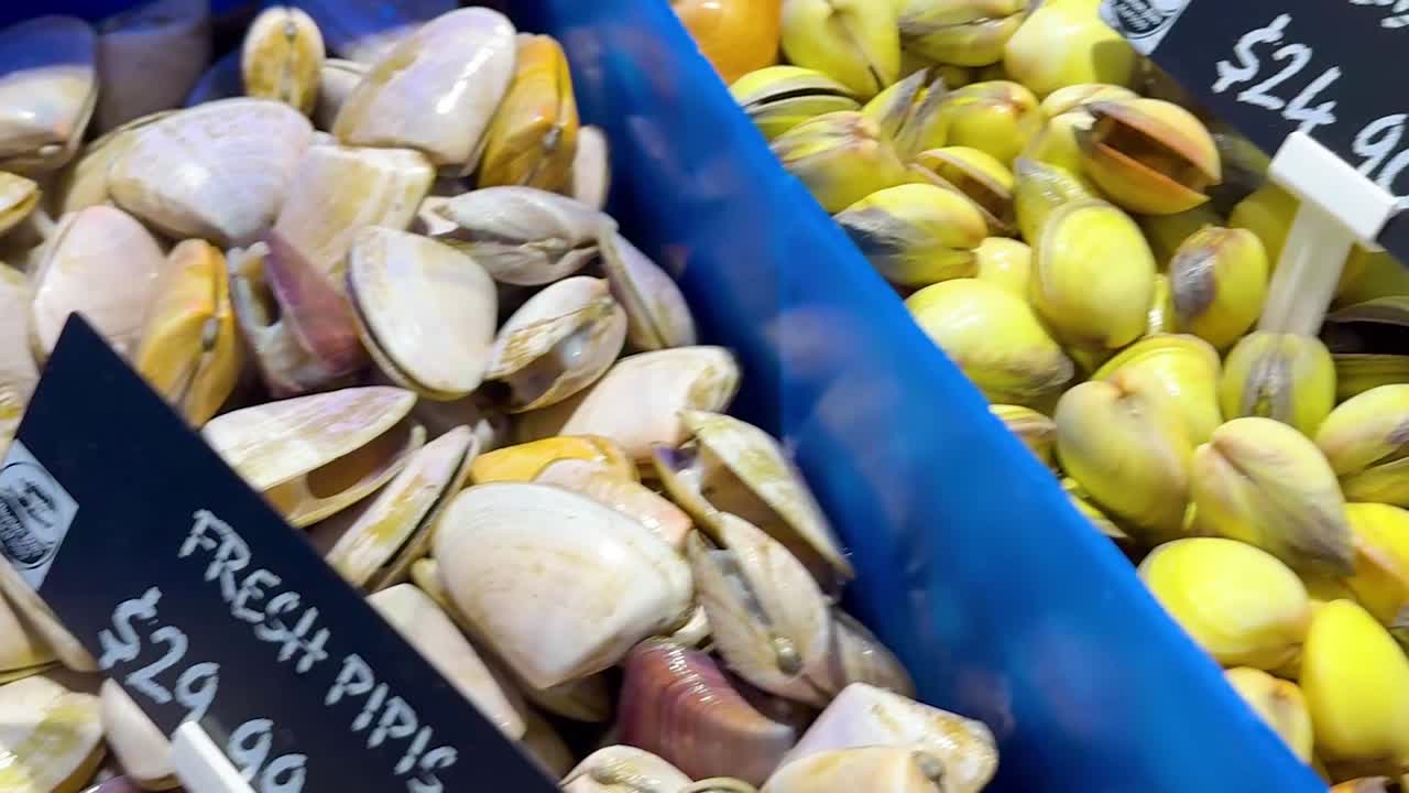 Close-up view of fresh pipis and mixed clams available for sale at a local market.