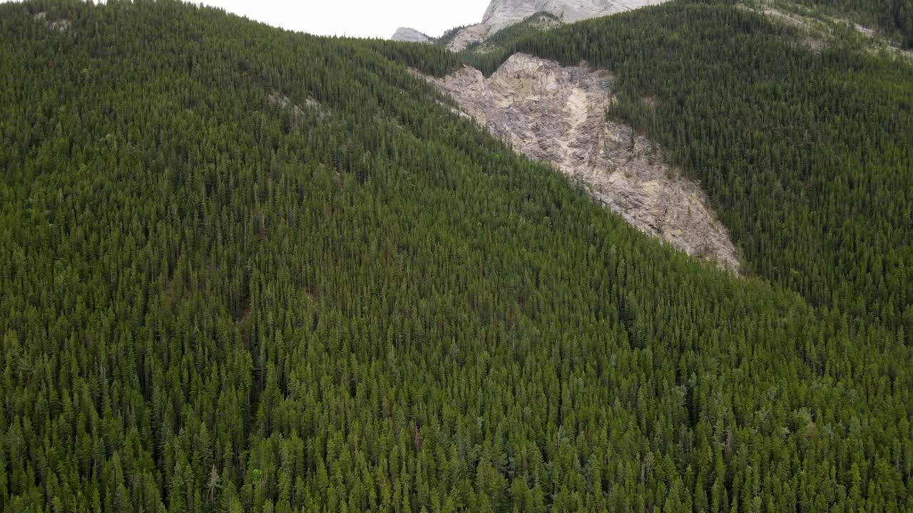 cordillera de kananaskis en las montañas rocosas canadienses
