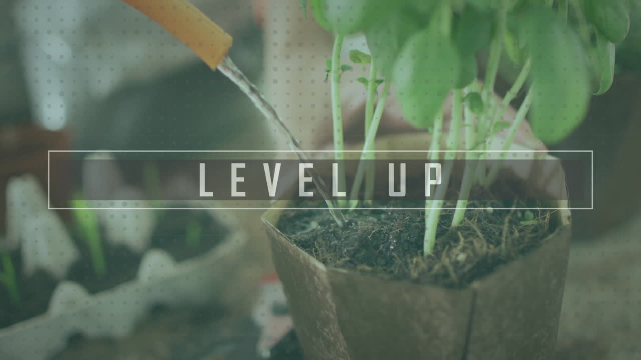 Level up text animation over watering plants in biodegradable pot