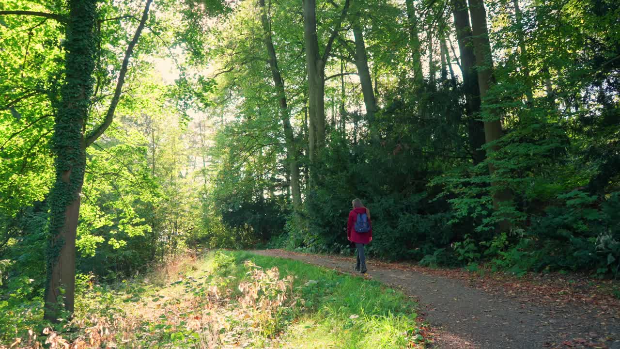 mochila y se dirige a través del bosque