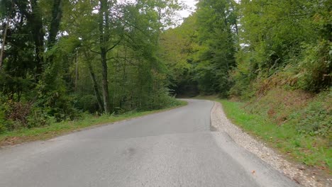 car point of view driving on road through forest