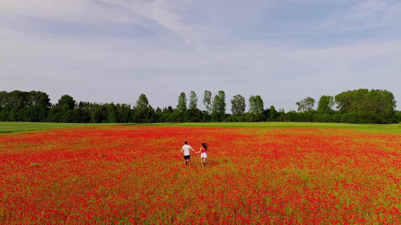 Slow motion drone follows couple running hand in hand across red poppy meadow