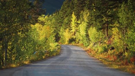 narrow rural road in the autumn landscape