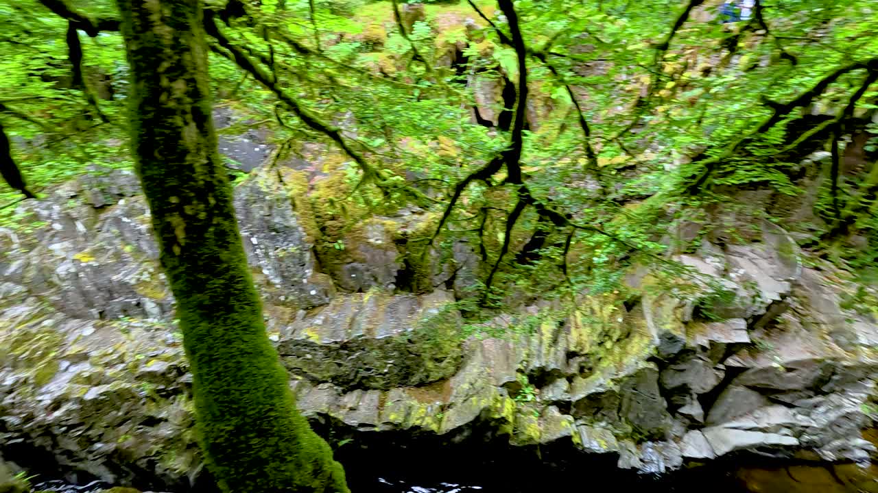 vegetación exuberante y agua corriente en dunkeld