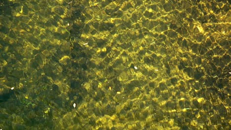 clear water, aerial view of a river bottom