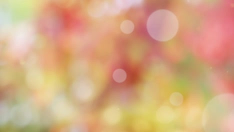 fondo de resorte abstracto con bokeh