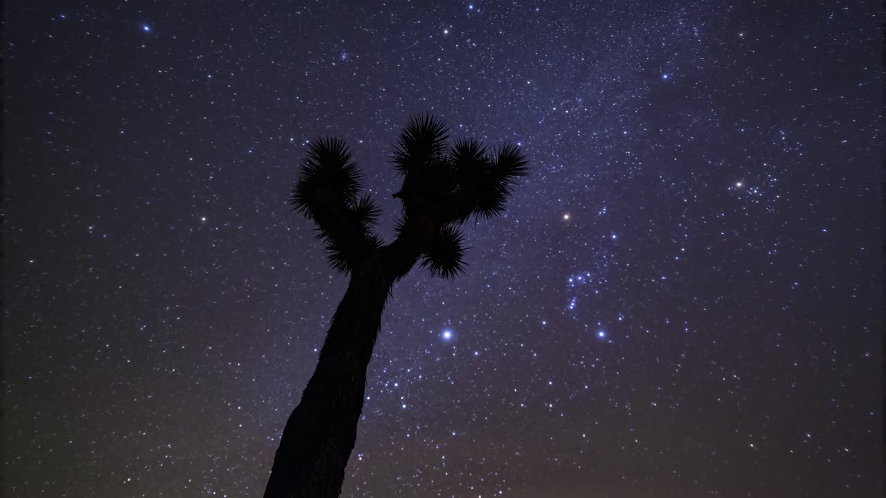 Time-lapse estacionario ascendente de la Vía Láctea, estrellas y nubes sobre un árbol de Josué