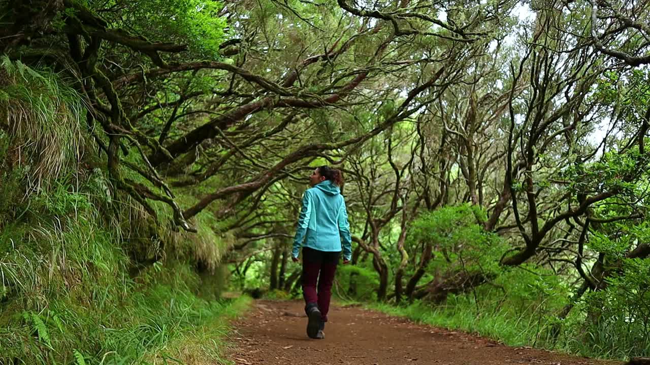 mujer joven camina asombrada en el mágico bosque tropical de madeira