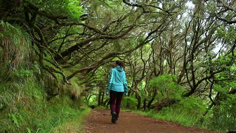 young woman walks amazed in the magical tropical forest of madeira