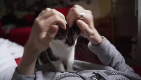 girl cuddle her relaxed cat lying in bed in her bedroom closeup blurry background