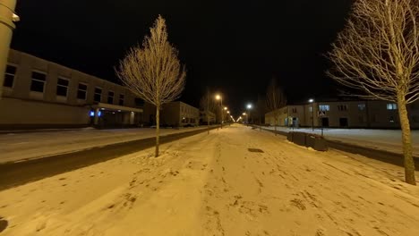 escultura del escritor y diplomático ignas scheynius en el callejón sirvintos en la noche de invierno