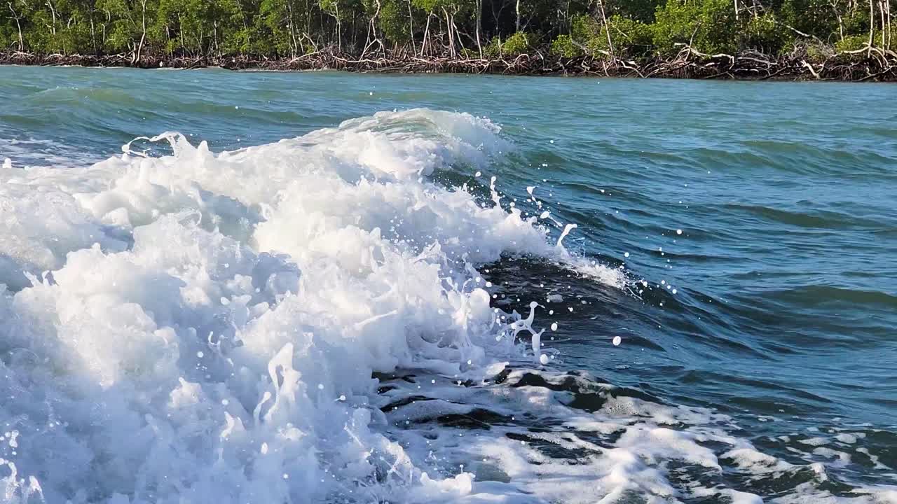 한 쌍의 돌고래가 모터보트 뒤에서 뛰어다니며 헤엄치고 바다의 엔진에서 나오는 파도를 따라갑니다.