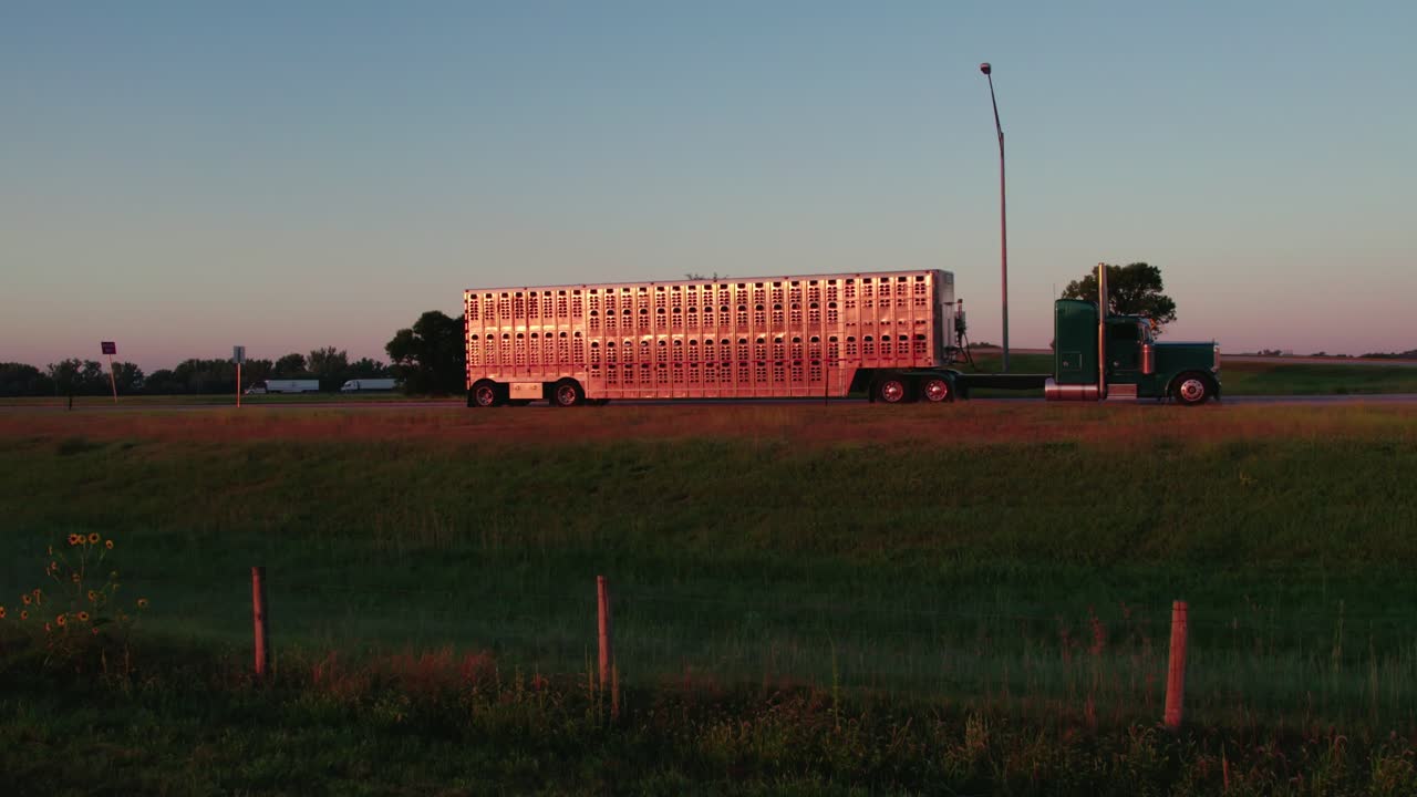 Livestock Hauler Semi-Truck on Highway Ramp at Sunrise | Animal Agriculture