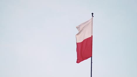 bandera polaca ondeando en el viento - cámara lenta