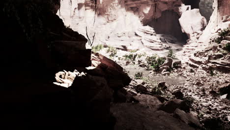 the view inside fairy cave with plants