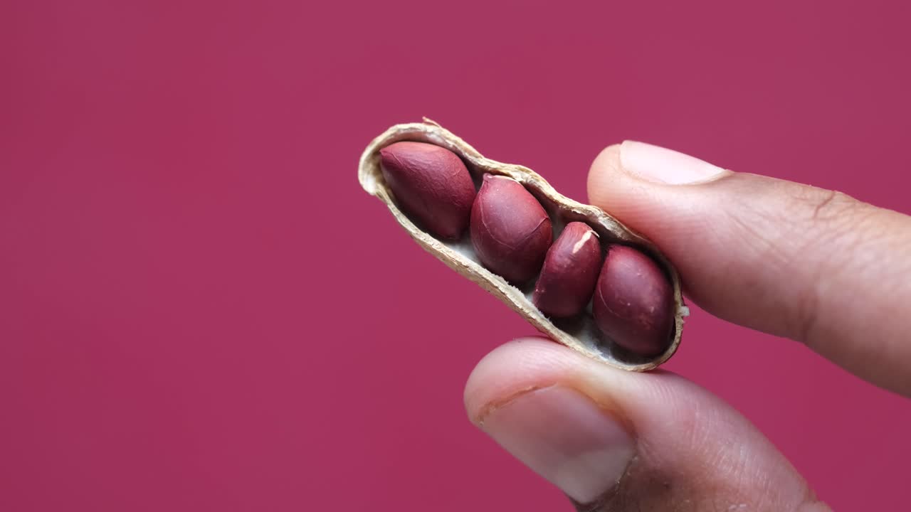 데기 속의 땅콩