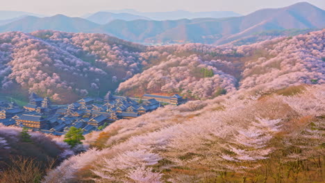cherry blossom valley with traditional buildings