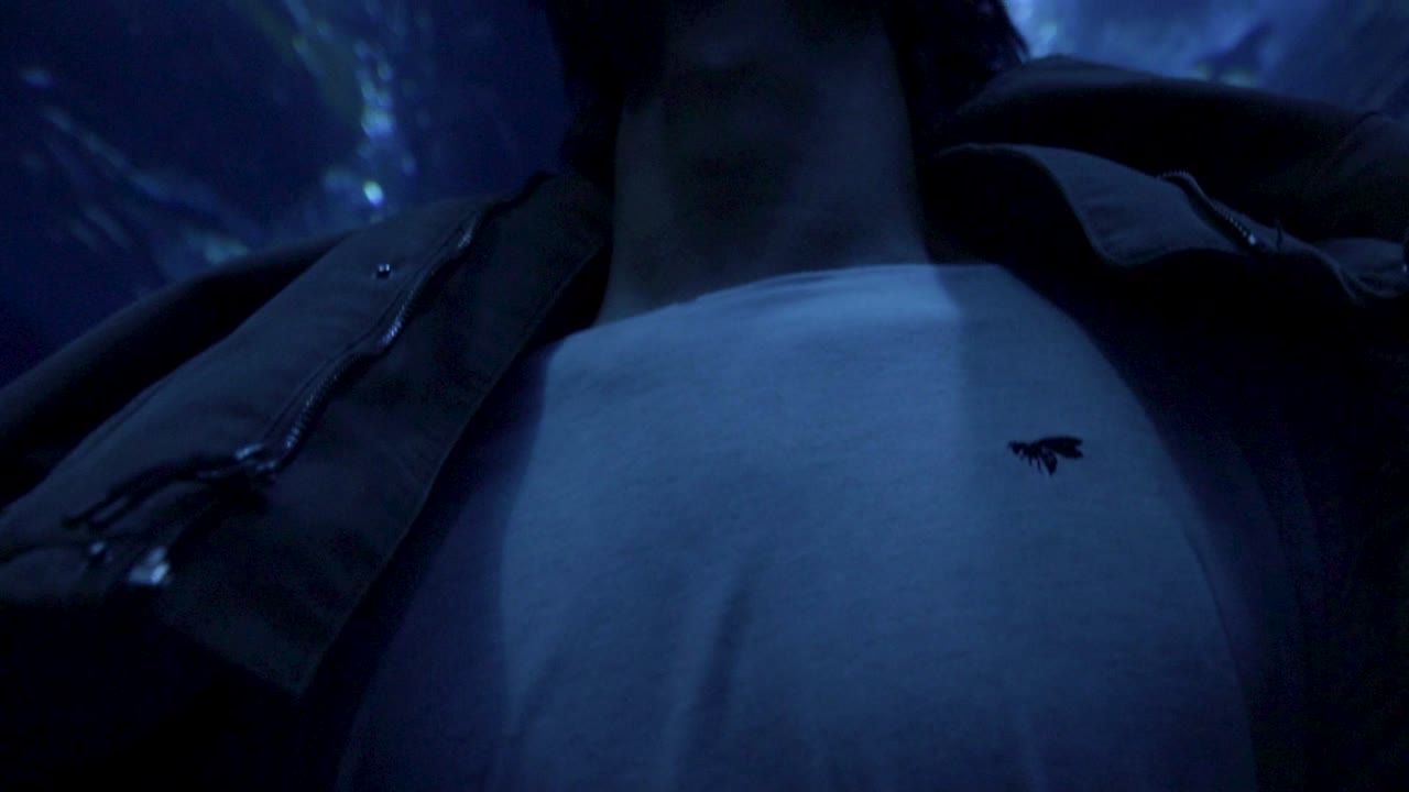 Man looking into aquarium from below