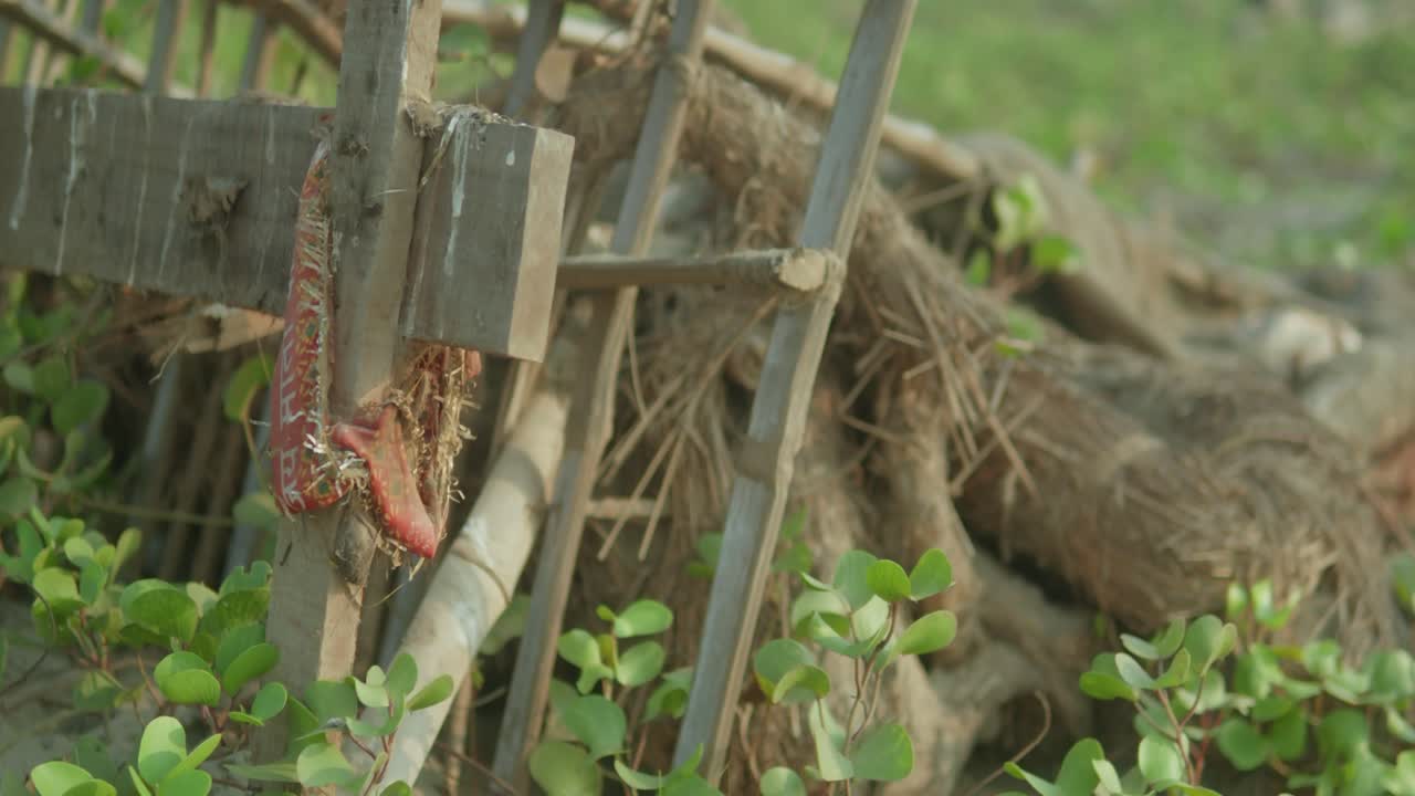식물 로 인 버려진 나무 로 만든 농촌 울타리