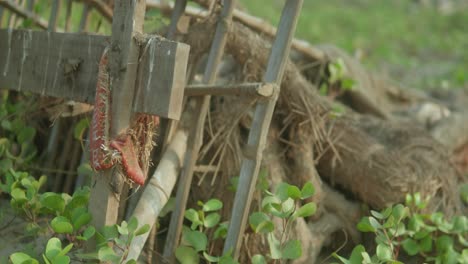 a abandoned wooden rustic fence covered with plants