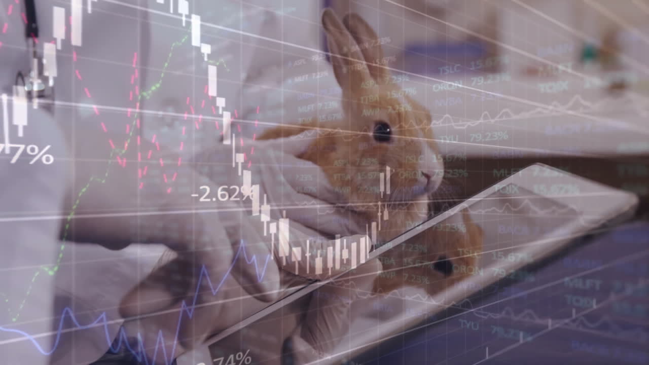 Veterinærtekniker holder kanin over tablet, viser finansdiagrammer med procentmarkører