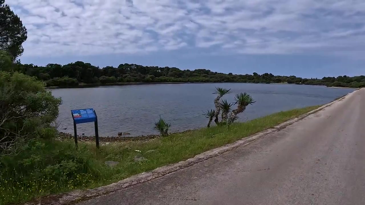 Paseo panorámico en bicicleta a lo largo de la laguna y las carreteras forestales de la isla de Brijuni, Croacia POV