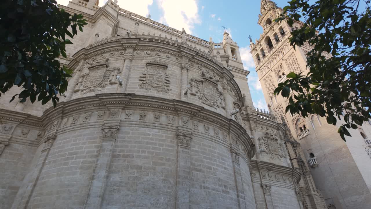 Seville Cathedral and Giralda Tower rising towards a blue sky with some leaves in the foreground