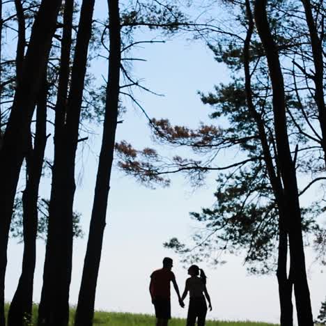 walking couple in the forest