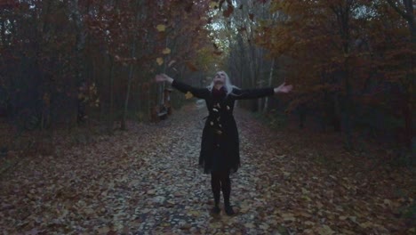 slow motion shot of a young woman throwing autumn leaves into the air in a deciduous park