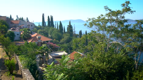 woman traveller at trsteno arboretum - croatia