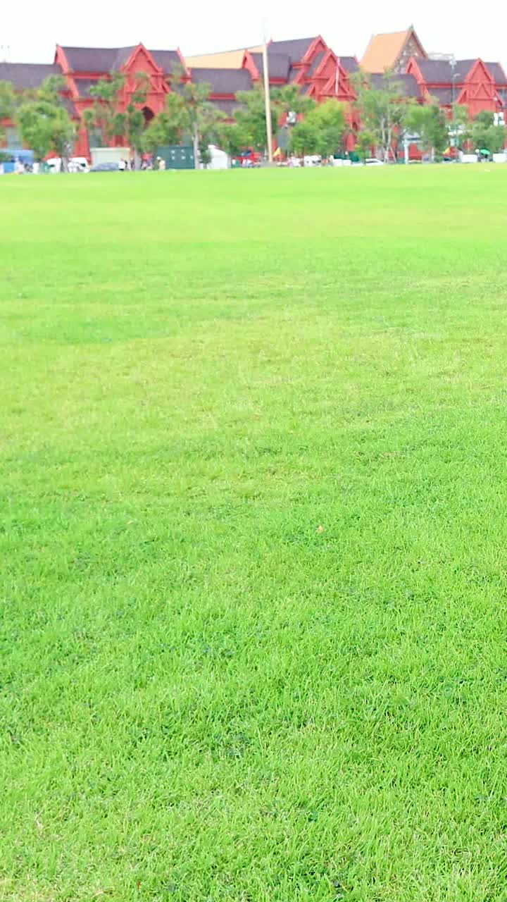 방의 wat phra kaew의 조용한 장면, 밝은 낮빛 아래 푸른 잔디과 상징적인 건축물을 보여줍니다.