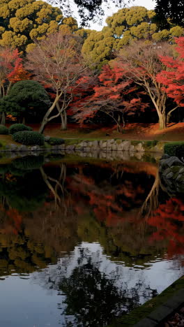 autumn colors in a japanese garden