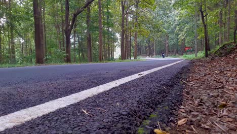 isolated tarmac road in forests with vehicle passing by from low angle