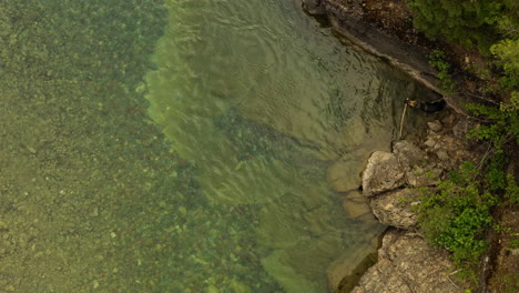 Epic-Aerial-birds-eye-view-of-a-German-Shepherd-dog-collecting-sticks-and-swimming-in-McDonald-Creek-In-Glacier-National-Park,-Montana