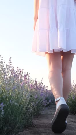 The Young Woman S Legs Scatter Sand Closeup Camera Follows her Sea and Beach at Sunset the Young Woman S Legs Scatter Sand Closeup Camera Follows her Sea and Beach at Sunset Social Media