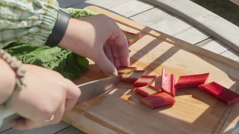 ow-Motion-Footage-of-Woman-Cutting-Fresh-Rhubarb-with-Knife