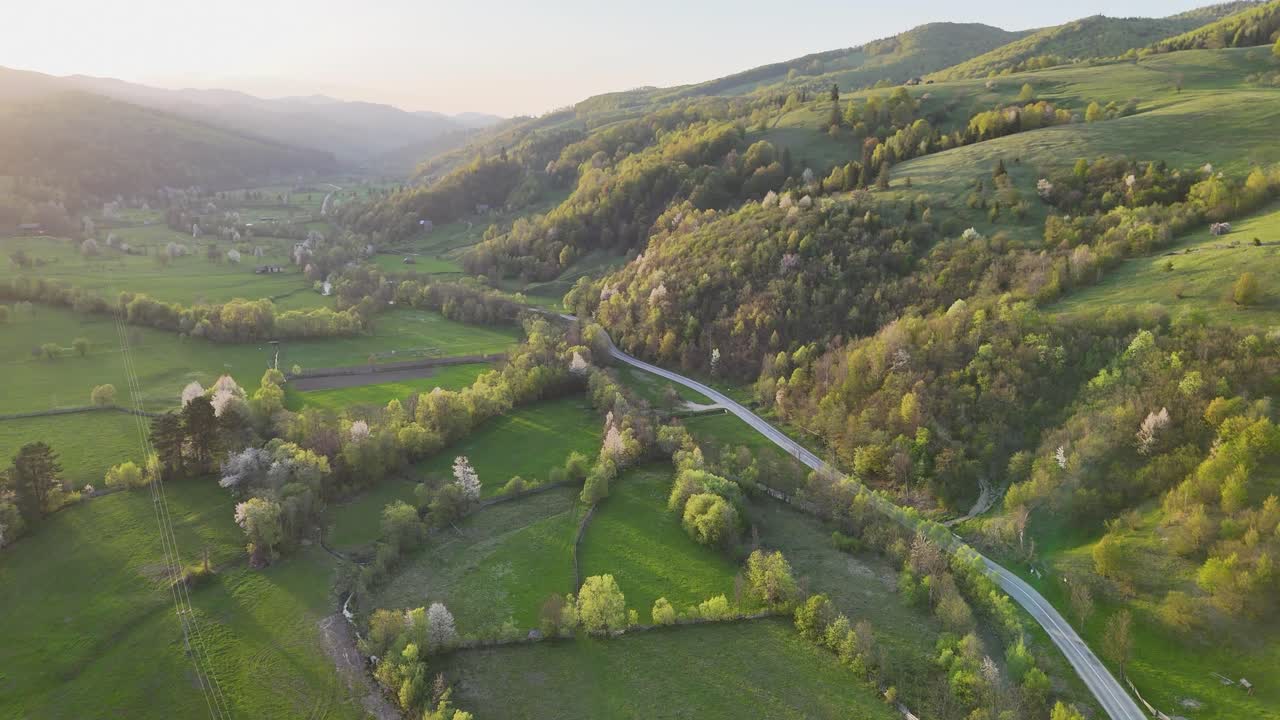 Scenic landscape with road and trees at dusk