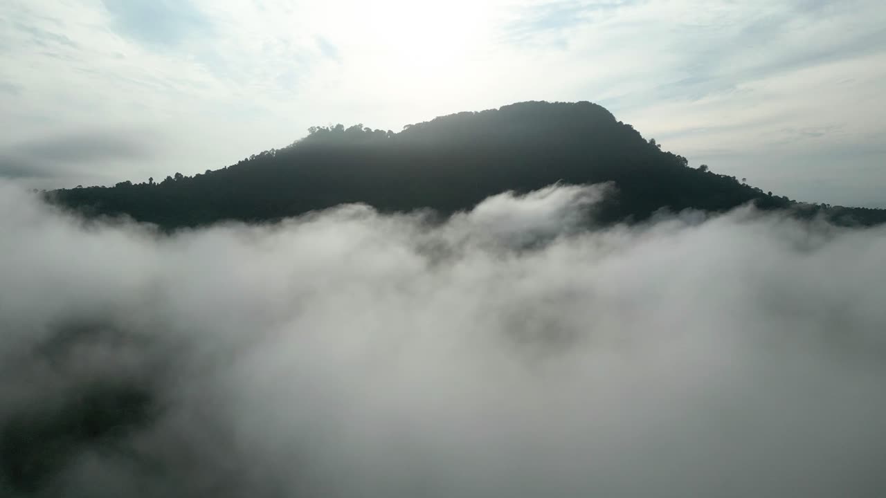 아리엘 드론 뷰 안개가 가득한 아침 해가 지고 푸른 숲이 세메파디 해안 도로 링크 사라와크, 보르네오에 있습니다.