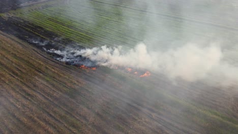 Imágenes-Aéreas-Hacia-Un-Humo-Ascendente-De-Hierba-Quemada,-Quema-De-Pastizales,-Pak-Pli,-Nakhon-Nayok,-Tailandia