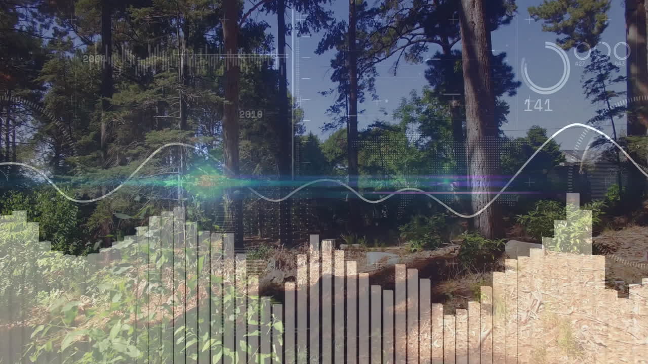 three tall pine trunks being visualized in forest clearing, showing translucent HUD overlays