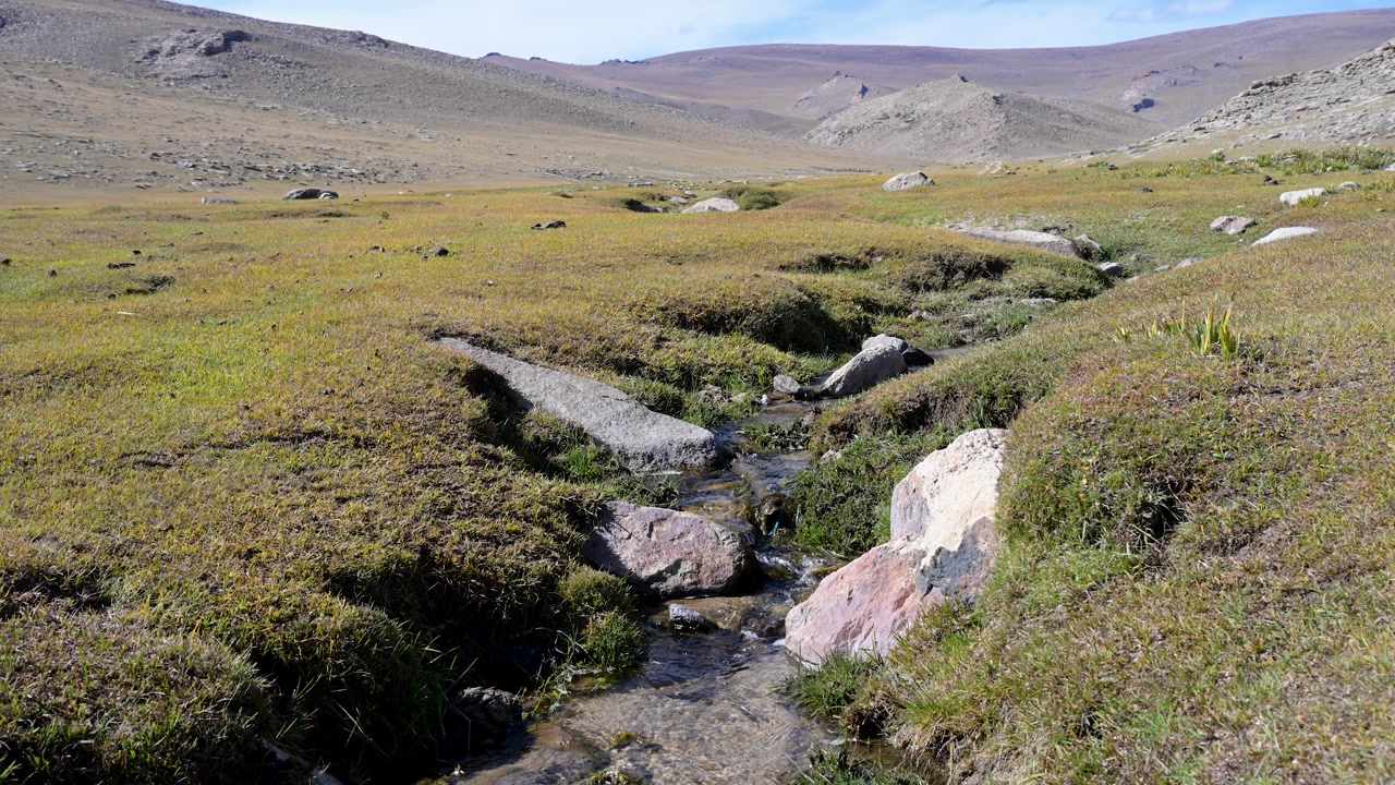 A clear, fresh water stream winds through a vast, remote Mongolian valley. A serene and peaceful scene of an untouched natural landscape, showcasing the beauty of the steppe.