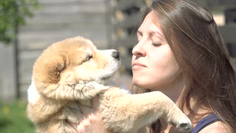 puppy alabai. the girl hugs the puppies of alabai