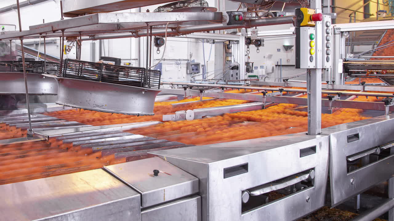 Timelapse of a worker controlling egg production inside a Poultry Farming plant