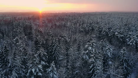 Vuelo-Aéreo-Del-Paisaje-Invernal-Nórdico-Sobre-El-Bosque-De-Montaña-Nevado-Al-Atardecer.